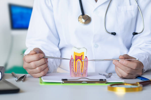 Best Emergency Broken Tooth Repair in Orfordville, WI